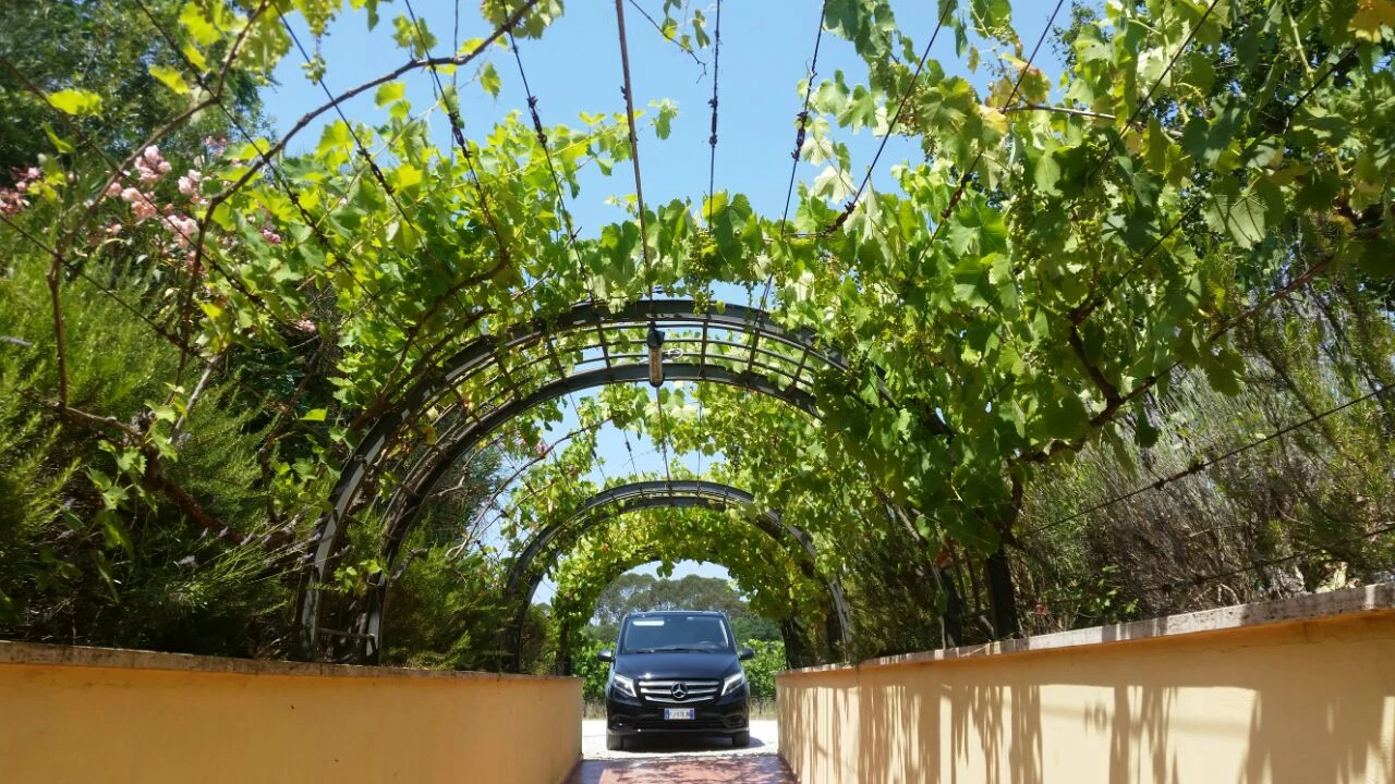 itinerari in macchina toscana