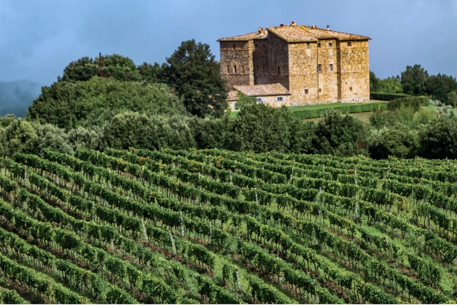 tour val d'orcia montalcino vigne