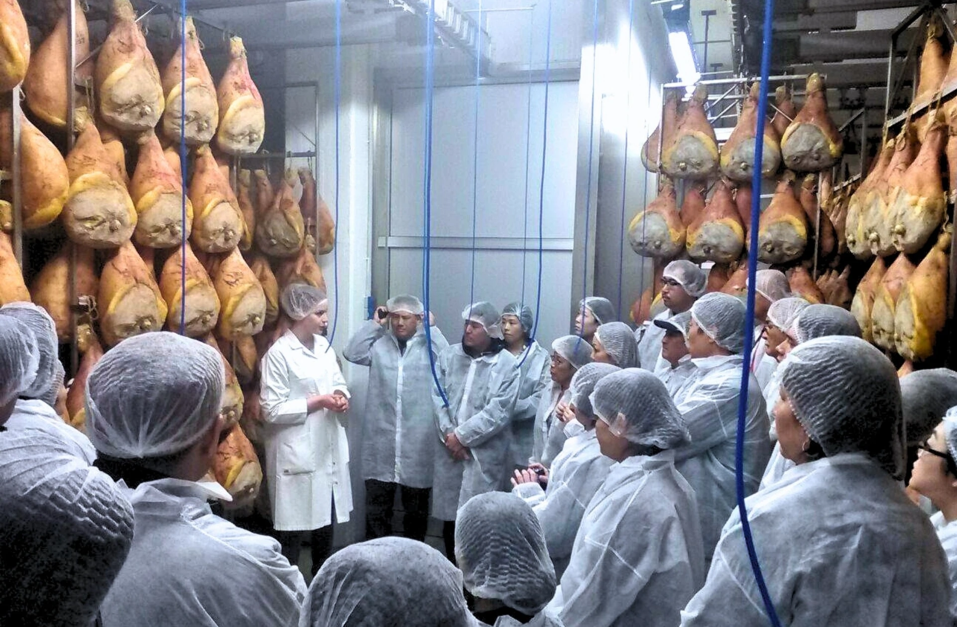 visita prosciuttificio